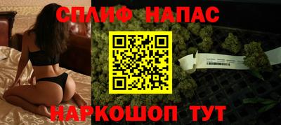 прущие крисы Славгород