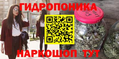 прущие крисы Славгород