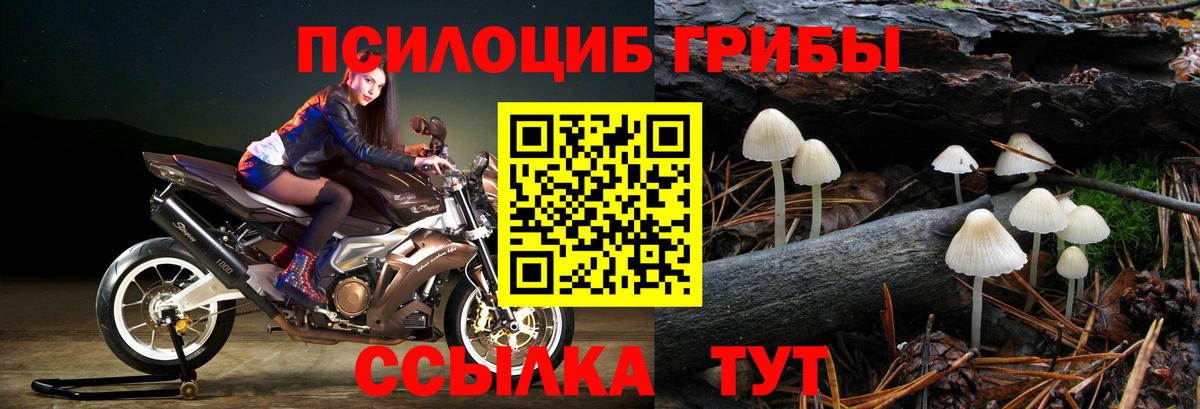 Галлюциногенные грибы MAGIC MUSHROOMS  Вход с VPN  Оренбург  закладки  Галлюциногенные грибы прущие грибы 